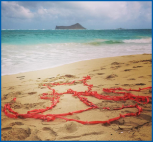 Ribbons Project - Honolulu